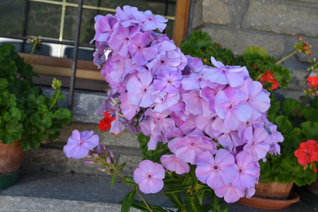 B&B Les Fleurs Gignod Ngoại thất bức ảnh
