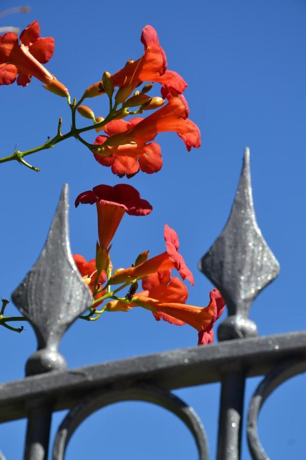 B&B Les Fleurs Gignod Phòng bức ảnh